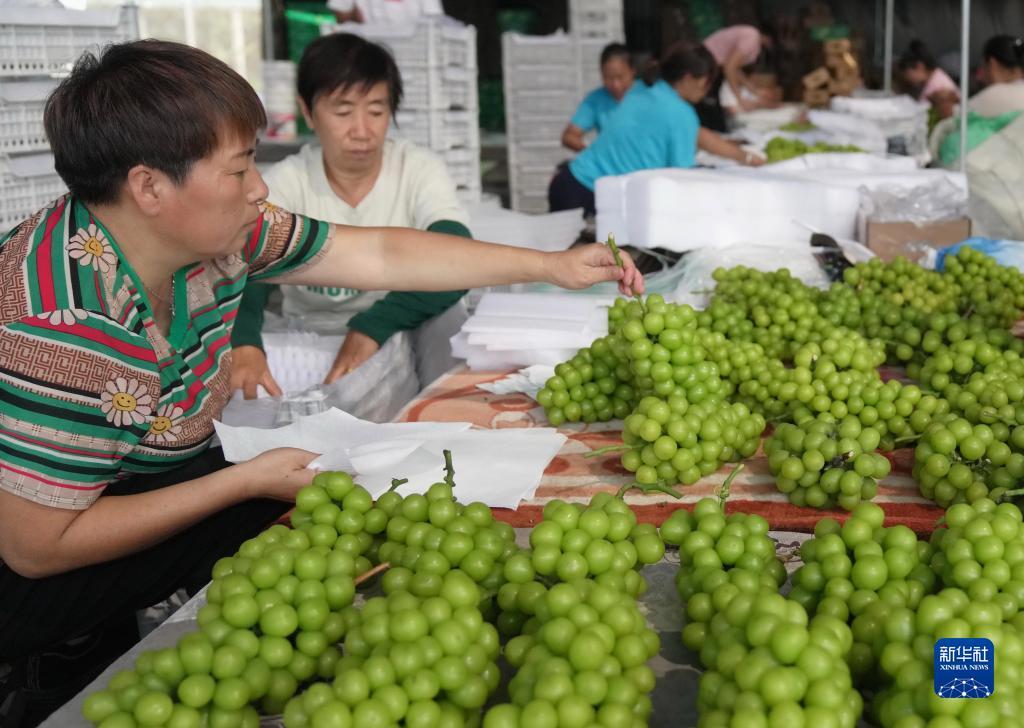 大圣注册娱乐